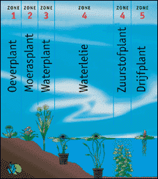 planten algemeen zones