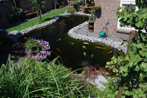 koivijver_project_deurne_20150924_2073036726