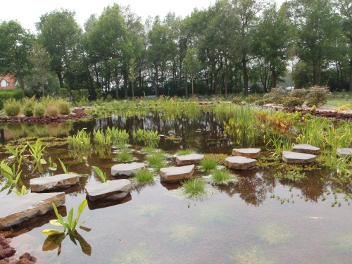 project_heeswijk_dinther_20151010_1307722058