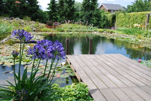 zwemvijver_project_kronenberg_20150920_1329019272