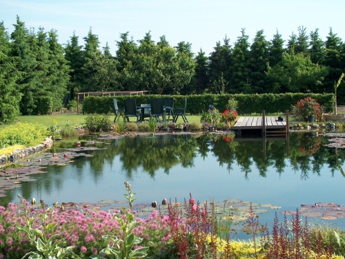 zwemvijver_project_kronenberg_20150920_1415899557