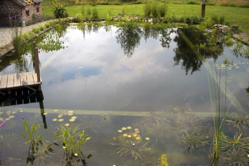 zwemvijver_project_venray_1_20150920_1513487197