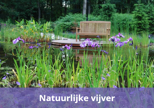 natuurlijke vijver vijvercentrum overloon